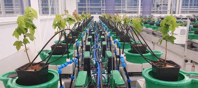 Vlaganje v agro inovacije in tehnologijo