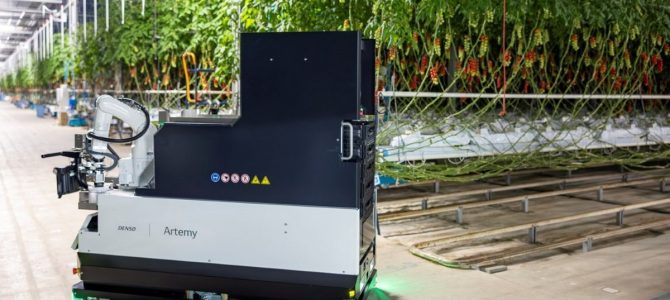 Popolnoma avtomatiziran robot za obiranje paradižnikov prihaja na trg