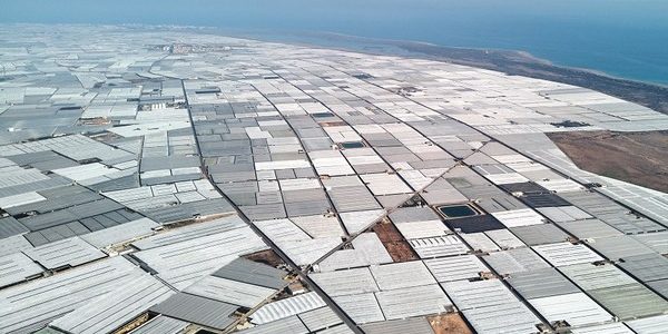 Rastlinjaki pokrivajo vedno več Zemljinega površja