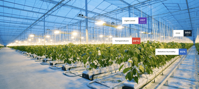 Kanadsko podjetje Nature Fresh Farms nagrajeno za uporabo umetne inteligence v kmetijstvu