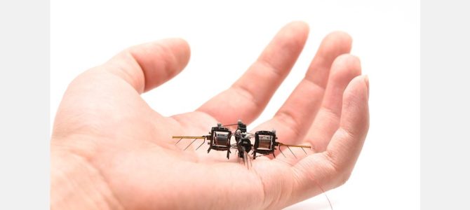Razvoj robotskih žuželk za umetno opraševanje