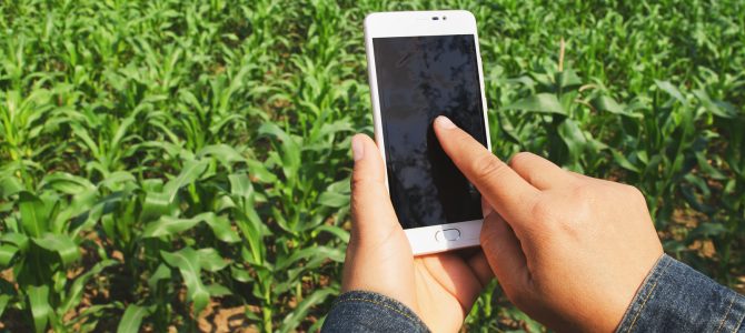 Farmer.Chat – kmetijski svetovalec, ki ne potrebuje odmora
