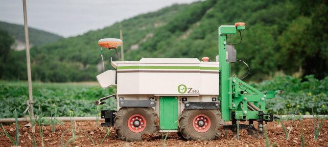 V Kanadi čebulo sadi robot Oz
