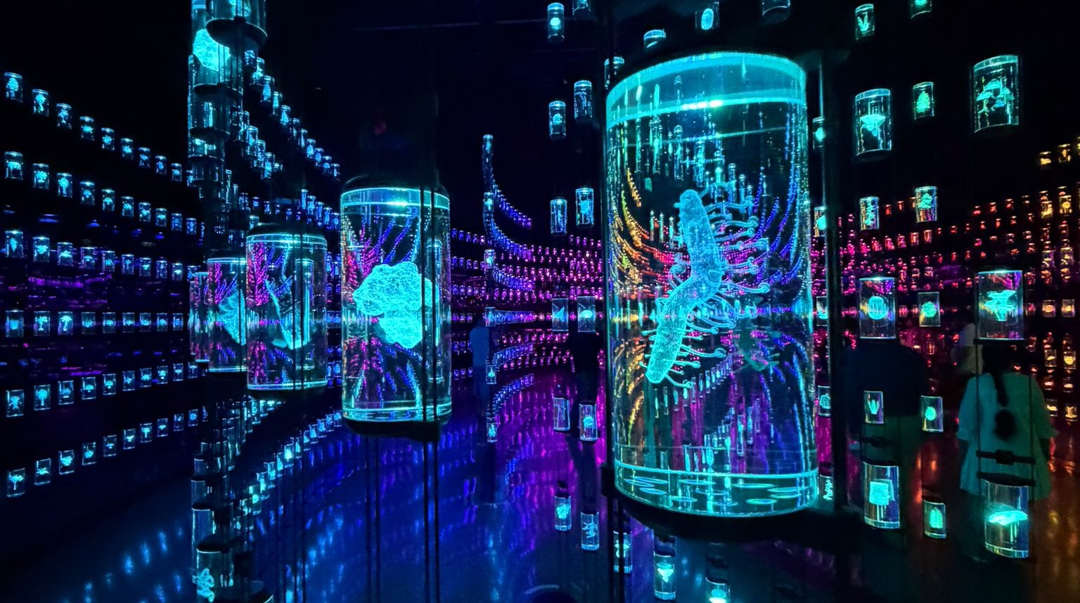 Kar sem slišal v Dubaju, doma še vedno težko povemo naglas