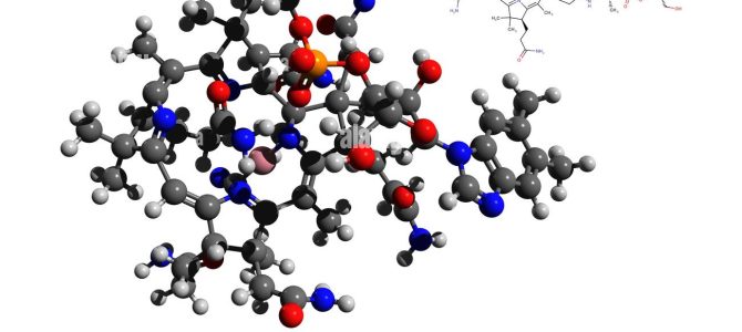 Vitamin B12 iz rastlin? Nova raziskava kaže, da je to mogoče z aeroponsko fortifikacijo