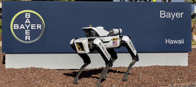 Robotski pri varujejo semensko koruzo