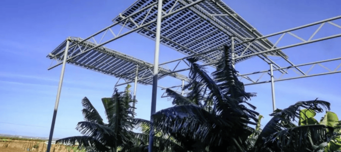 Agrofotovoltajika na Gran Canarii